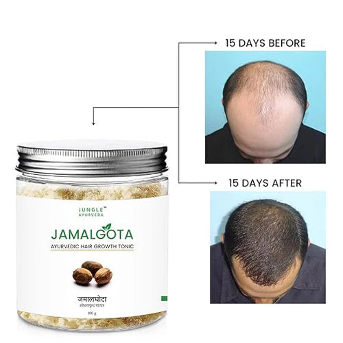 Jamalgota Ayurvedic Hair Growth Powder 100gm Each Pack of 2